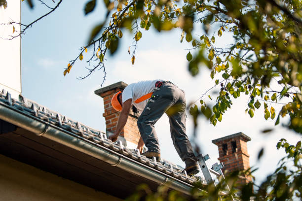 Best Emergency Roof Repair  in East Flat Rock, NC