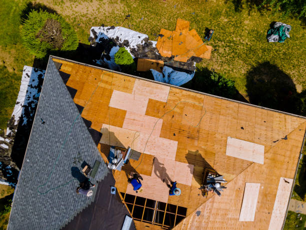 Best Roof Restoration Services  in East Flat Rock, NC