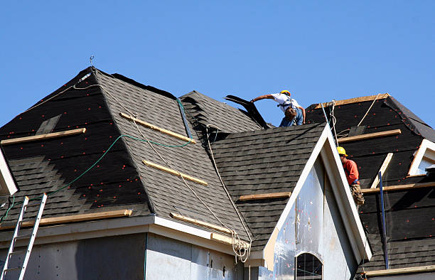 Best Roof Gutter Cleaning  in East Flat Rock, NC