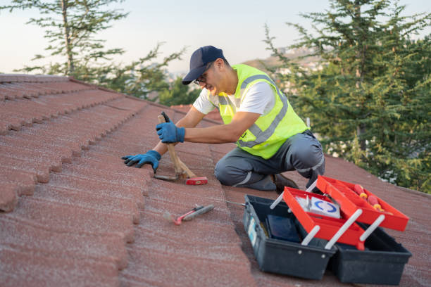 Best Roof Maintenance Services  in East Flat Rock, NC