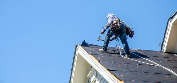 Best Storm Damage Roof Repair  in East Flat Rock, NC